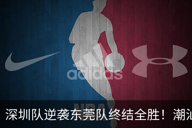 深圳队逆袭东莞队终结全胜！潮汕篮球盛宴情满赛场